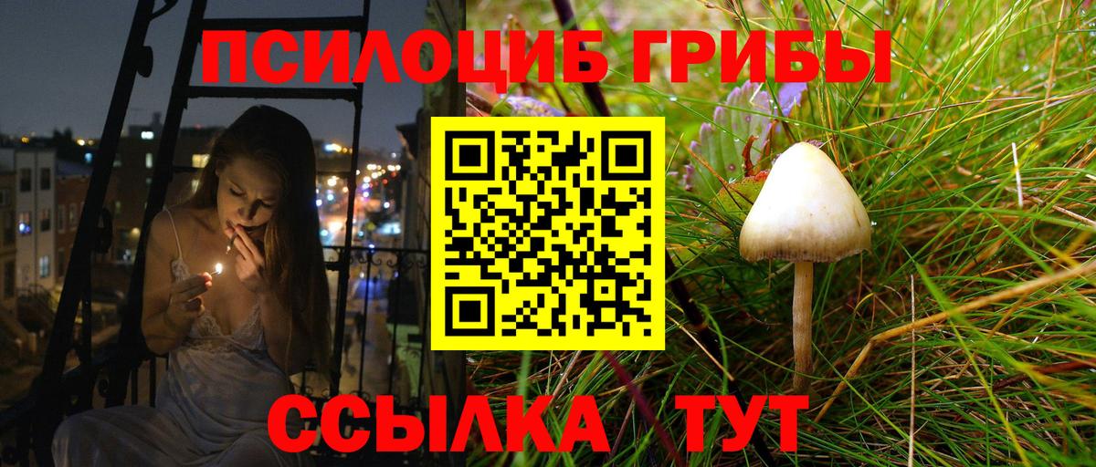 Псилоцибиновые грибы Cubensis  Галлюциногенные грибы мухоморы  Вход с VPN  Жуковский 